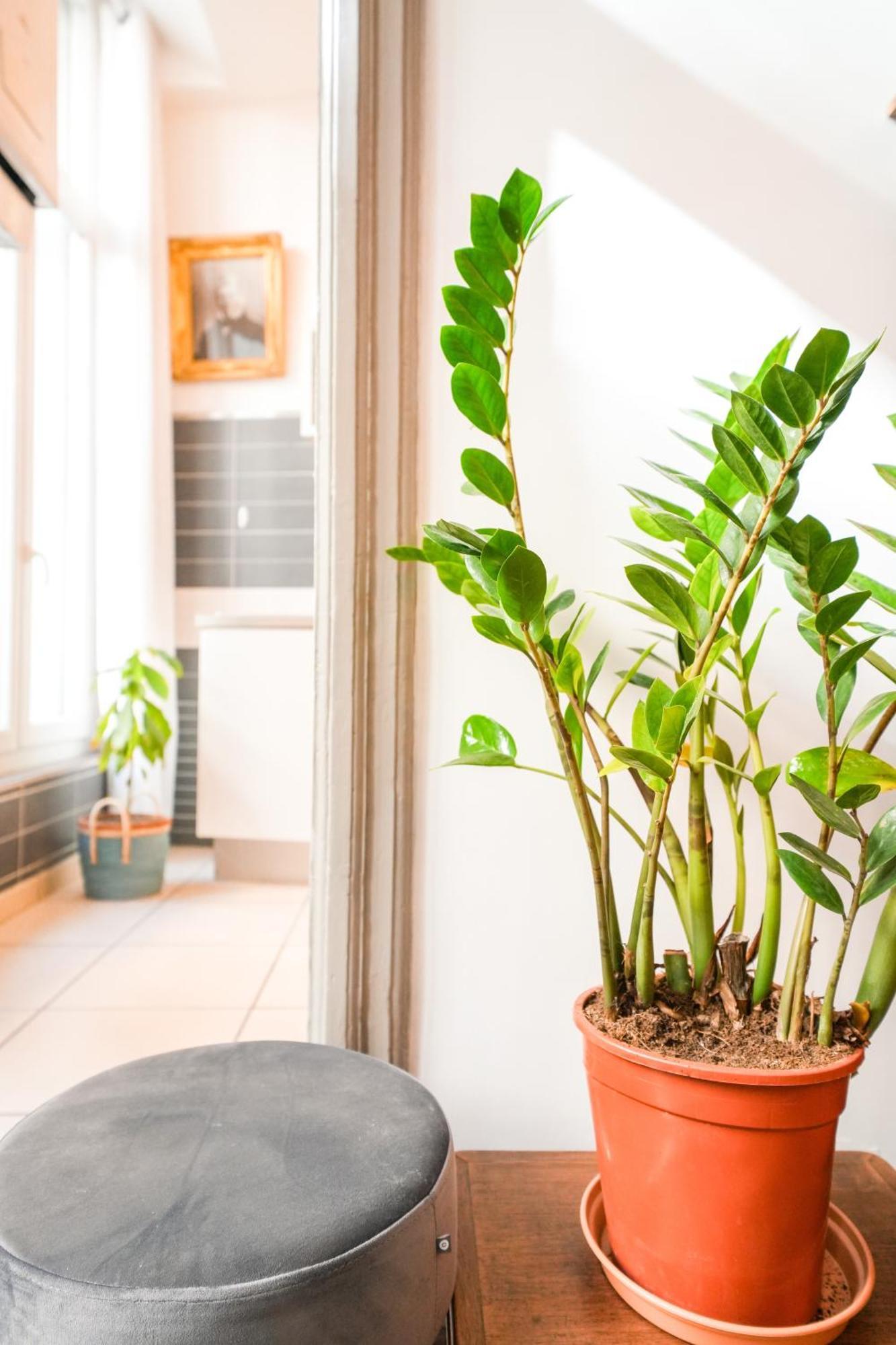 Le Boudoir, Spacieux T2, Centre Historique Apartment Montpellier Luaran gambar